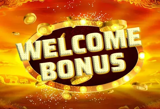 Willkommensbonus bei Spinanga casino